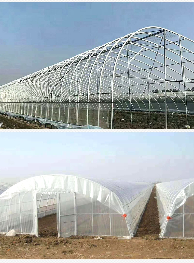 养殖蔬菜大棚钢管骨架 连体连栋农业椭圆管温室大棚骨架全套配件