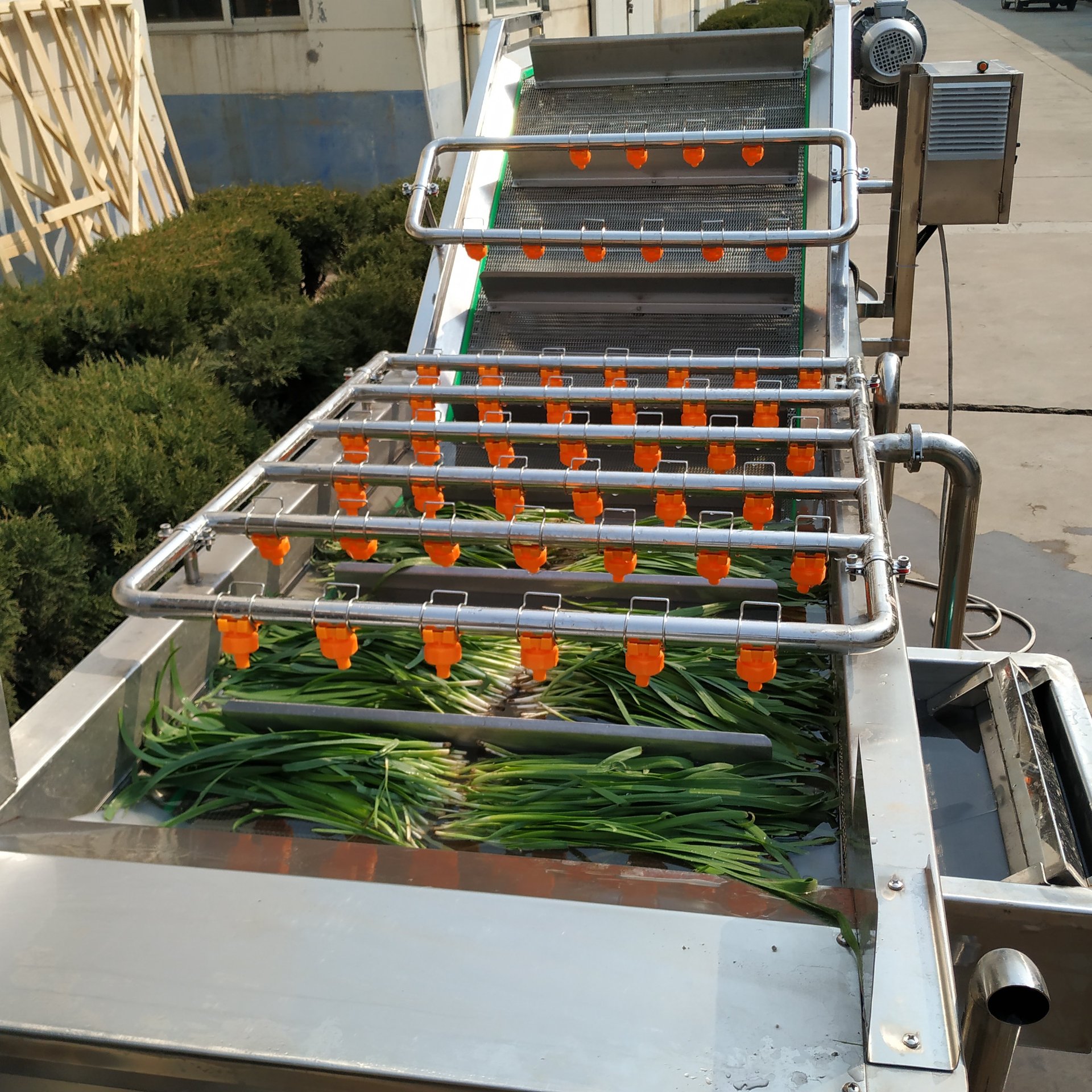 全自动气泡洗菜机 大型不锈钢白菜清洗设备 连续式韭菜清洗机商用