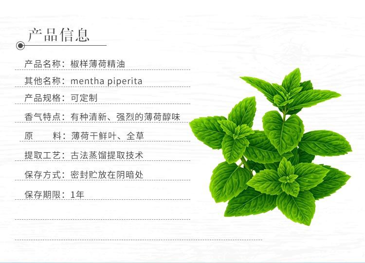 迪沃森欧薄荷精油 椒样薄荷原料原料精油胡椒薄荷
