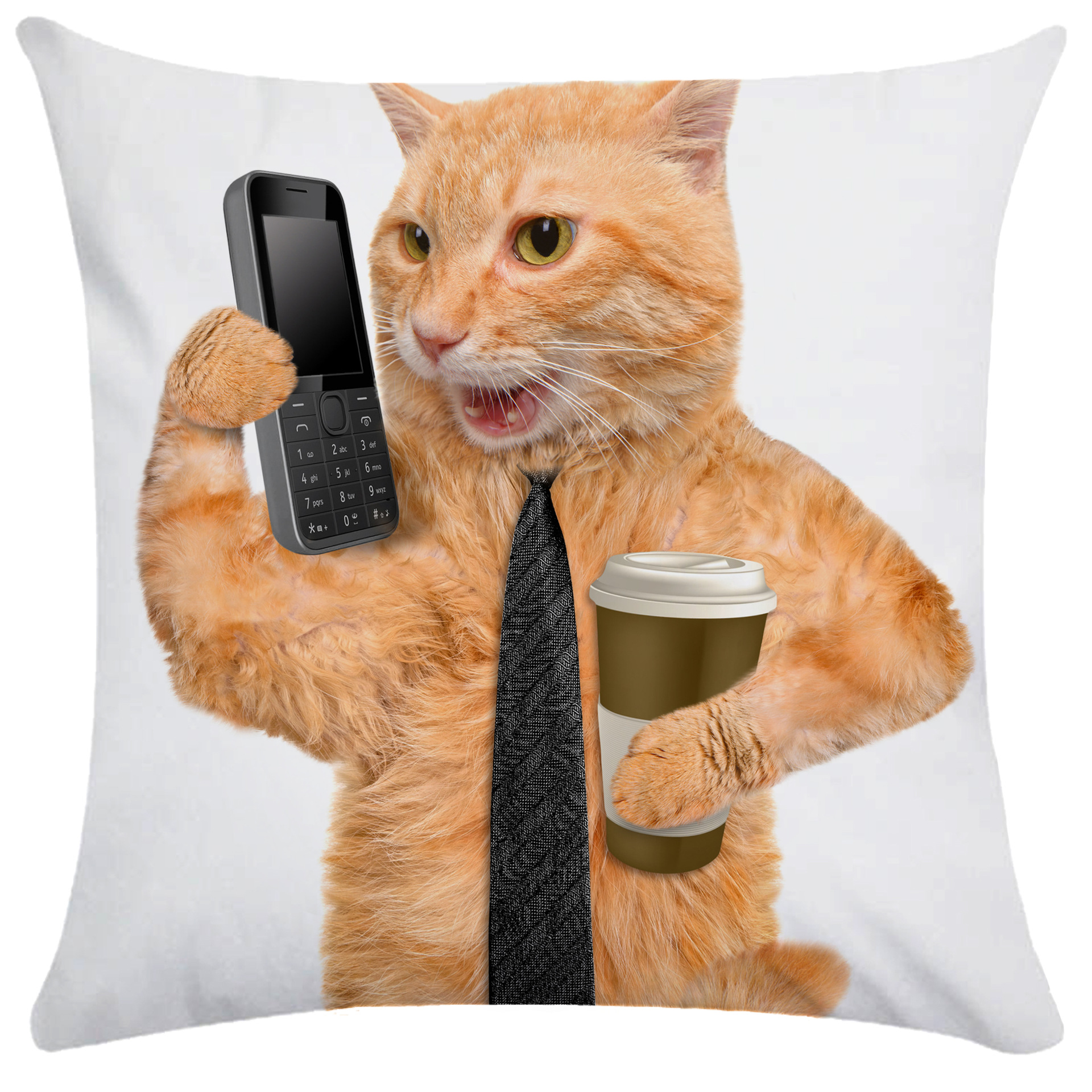 可爱搞怪动物猫咪枕套超柔短毛绒雨林单双面抱枕靠枕亚马逊爆款