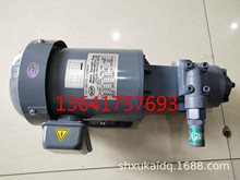 TOP-2M750-212HBMVB NOP电机泵组Nippon泵 TOP-212HBMVB