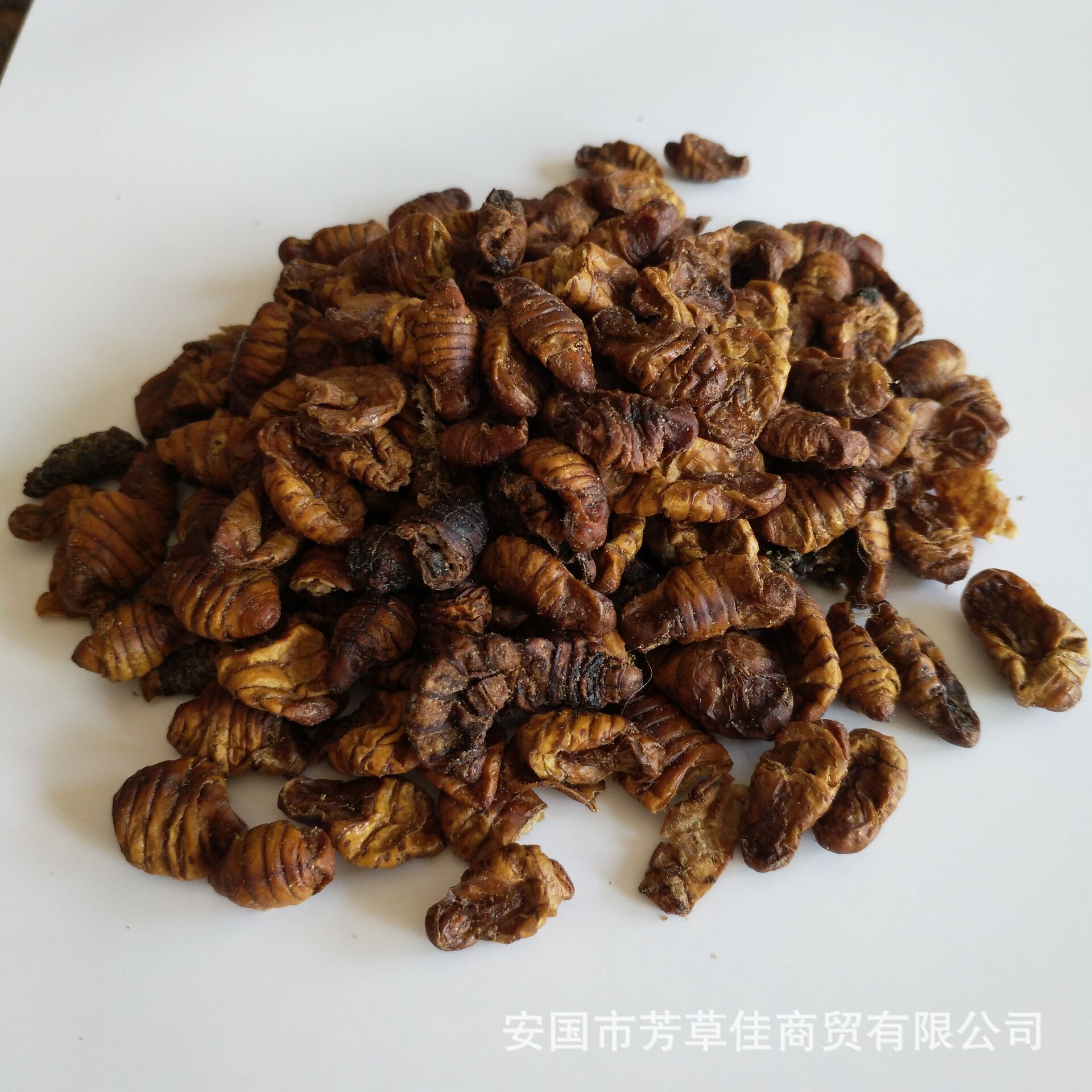 批发中药材蚕蛹干 蚕蛹