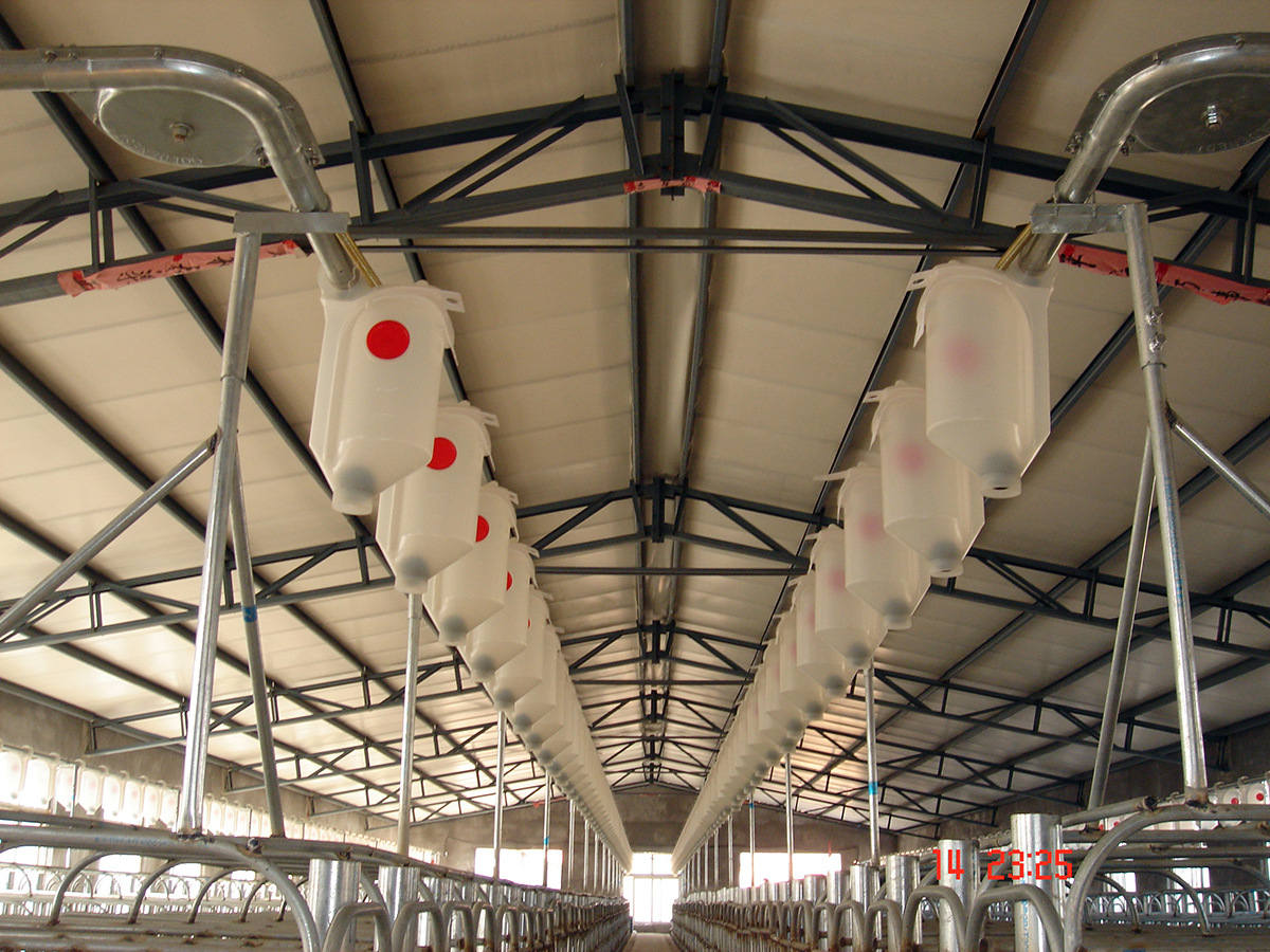 养猪设备料线猪用自动供料系统环线供料料槽转角轮电机厂商直供