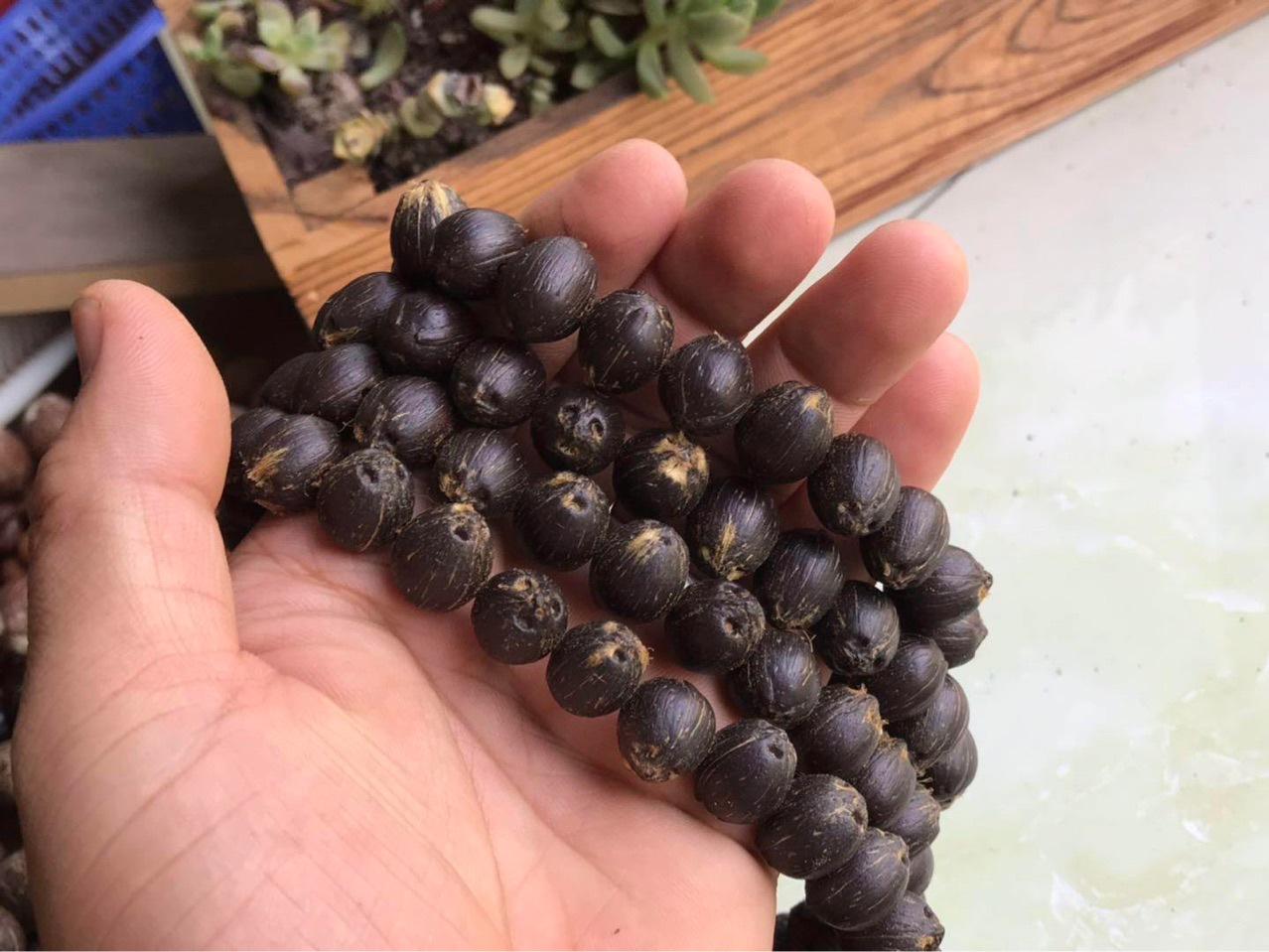 紫金招财鼠菩提子光珠手串 三眼鼠原装紫金鼠108颗佛珠手链手持