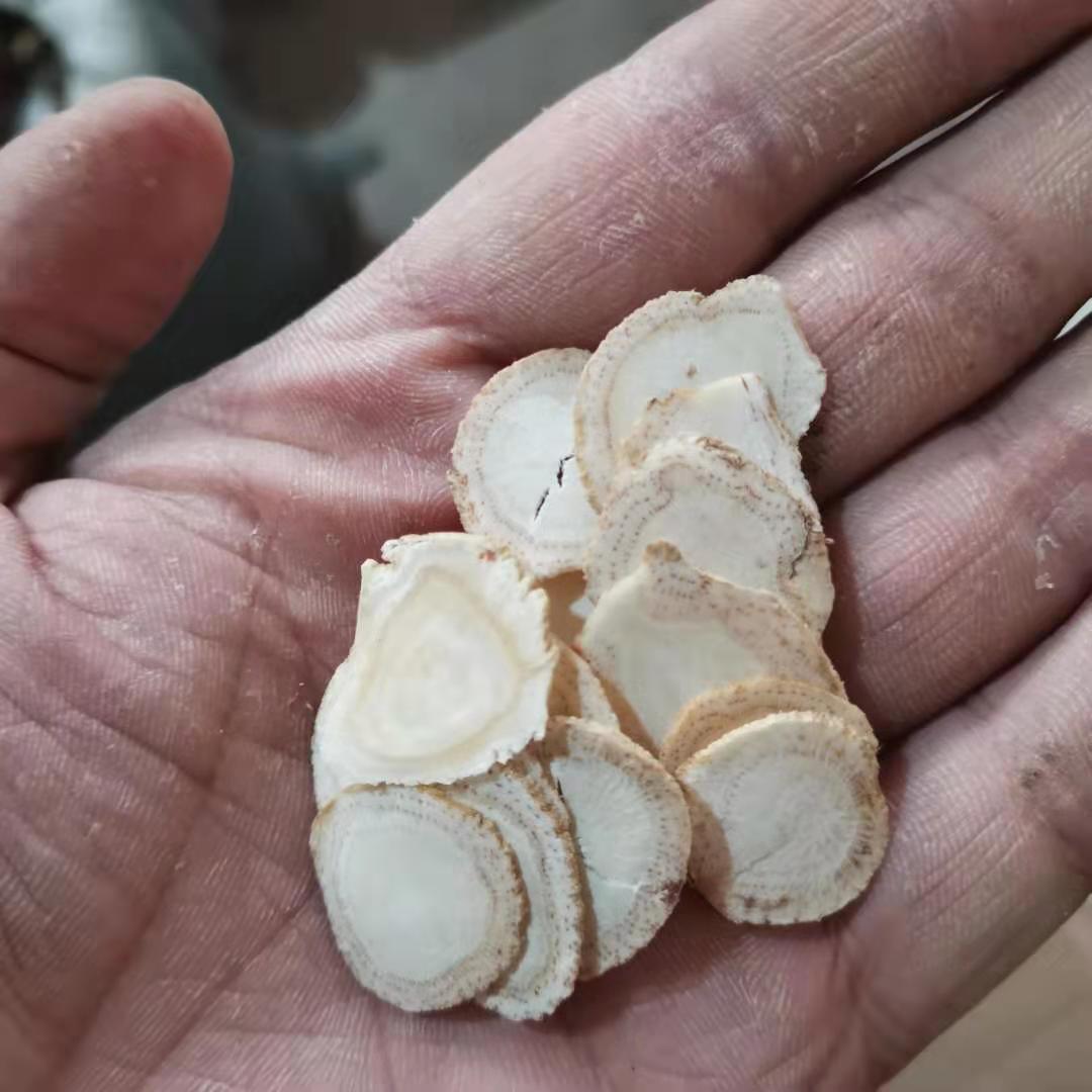 白参中药材批发特大片白参1.8公分