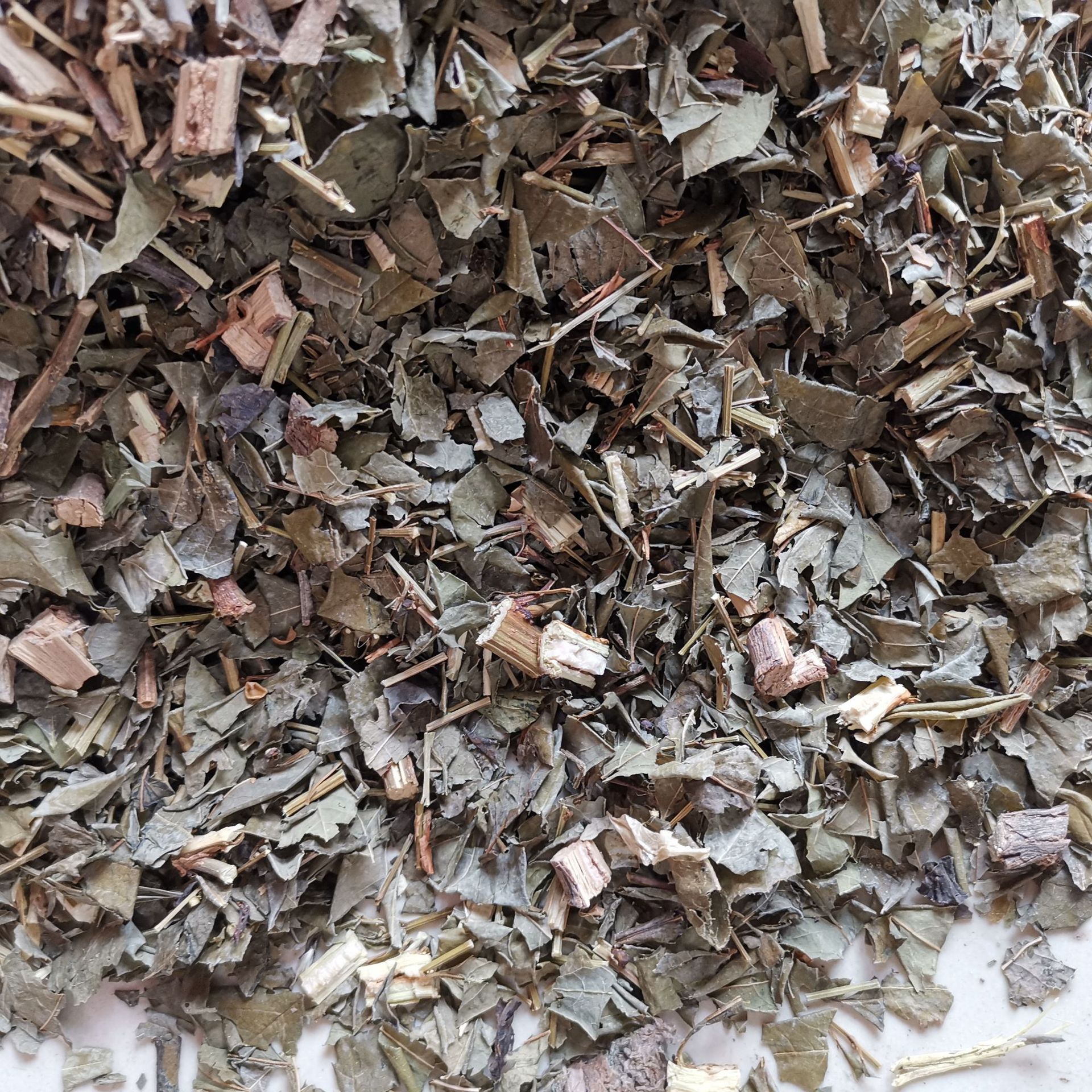 中药材 一叶萩 一叶秋 小粒蒿 横子 老鼠牙 马扫帚 小孩拳 叶下珠