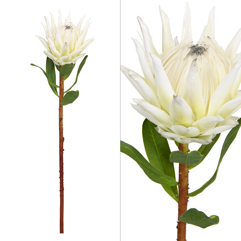 简约仿真花网红奶白色小帝王花客厅茶几摆放花样板间软装假花批发