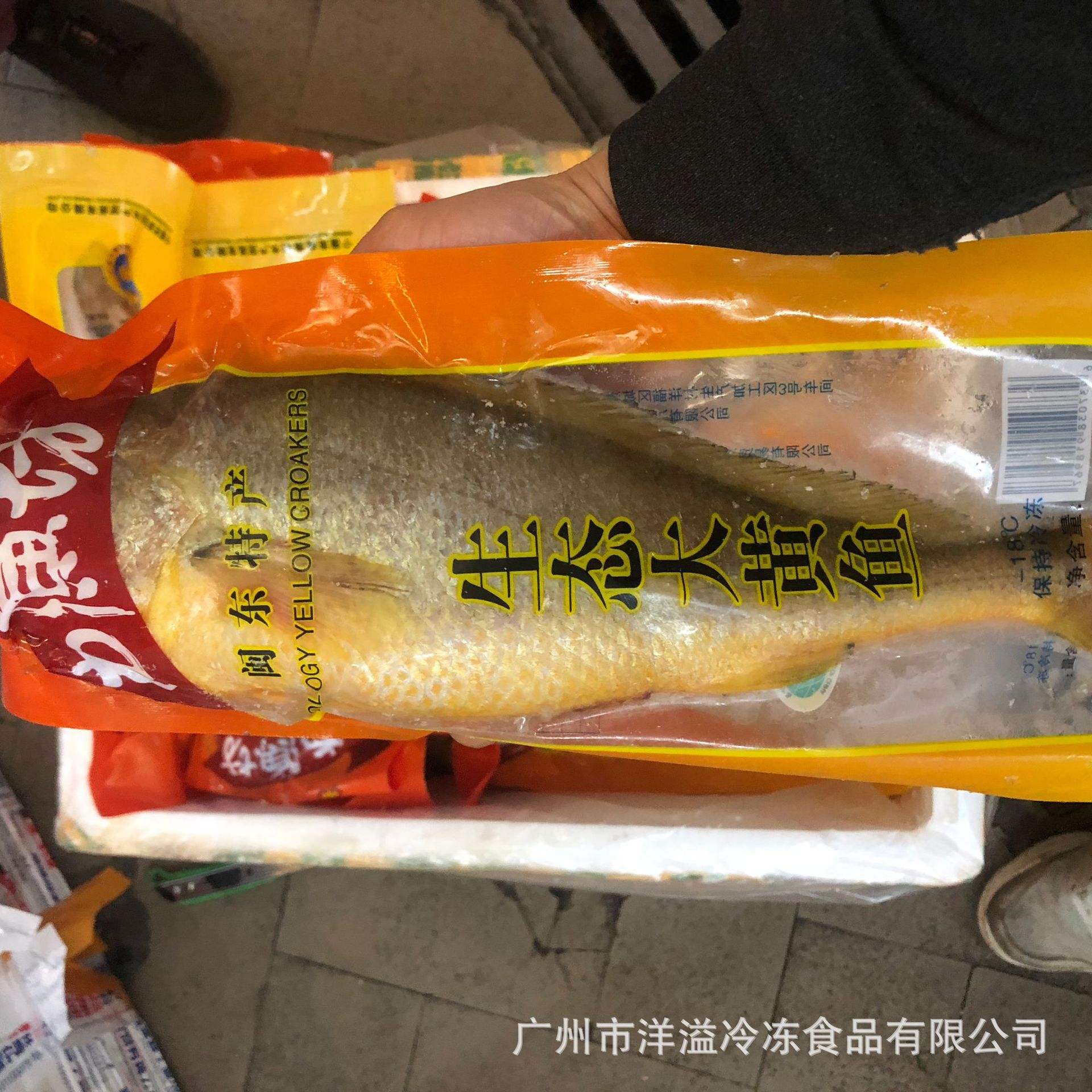 黄花鱼 冷冻 原味大黄鱼 原条真空黄花鱼 原味大黄花 500克/条