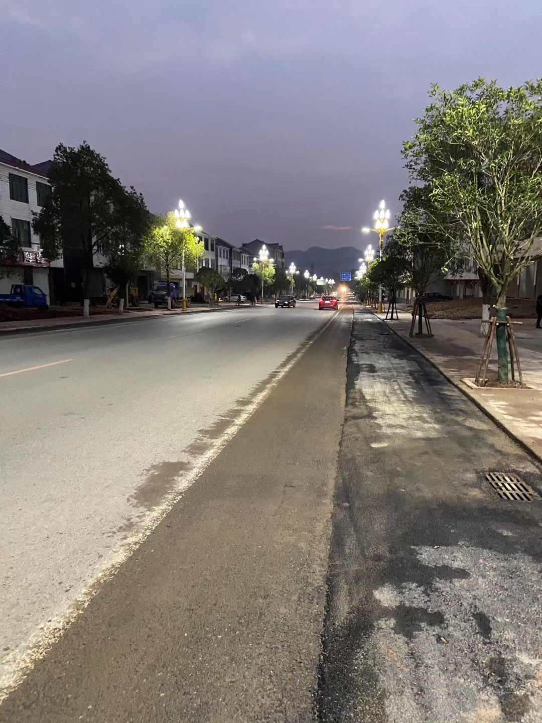 中华灯玉兰灯罩6广场led超亮庭院8米中式景观小区公园户外道路灯