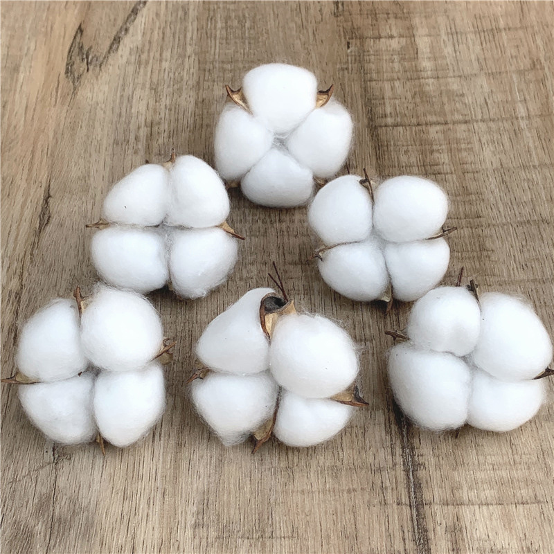 仿真带铁丝棉花头 棉花干棉花枝棉花束装饰花 拍摄道具