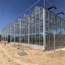 玻璃温室大棚工程 玻璃连栋温室建设 农业智能温室暖棚 生态餐厅