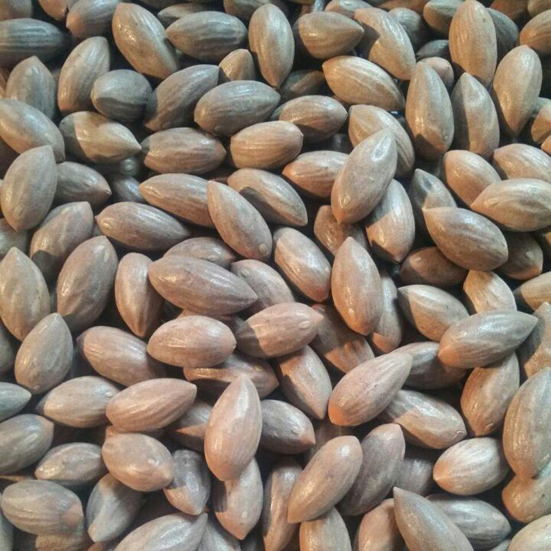 榧子 统 500g 别称 细榧,羊角榧,香榧,榧树,玉榧 产地浙江省