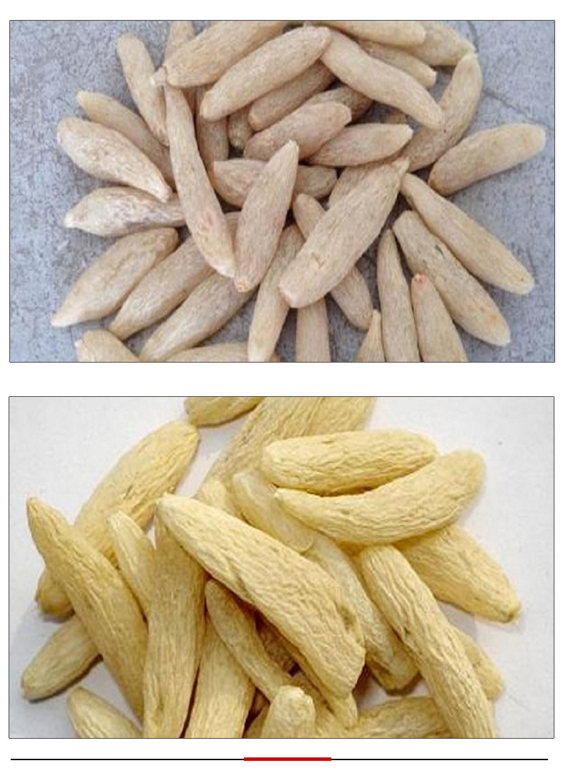 产地货源 四川麦冬 药食同源 中药材批发