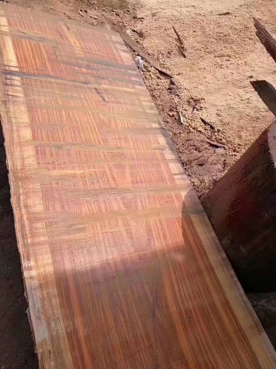 西非花梨原木 57号木 西非花梨木板材 刚果酸枝木 非洲花梨木
