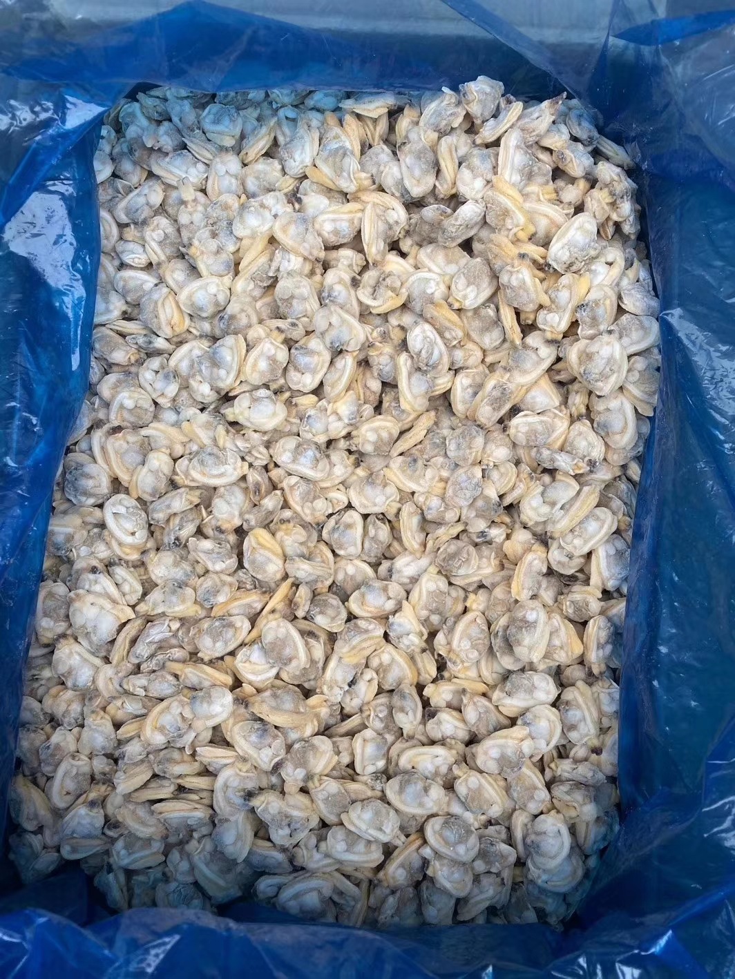 批发即食熟冻冻煮花蛤肉冷冻蛤蜊肉干冰速冻捞汁小海鲜原料食材