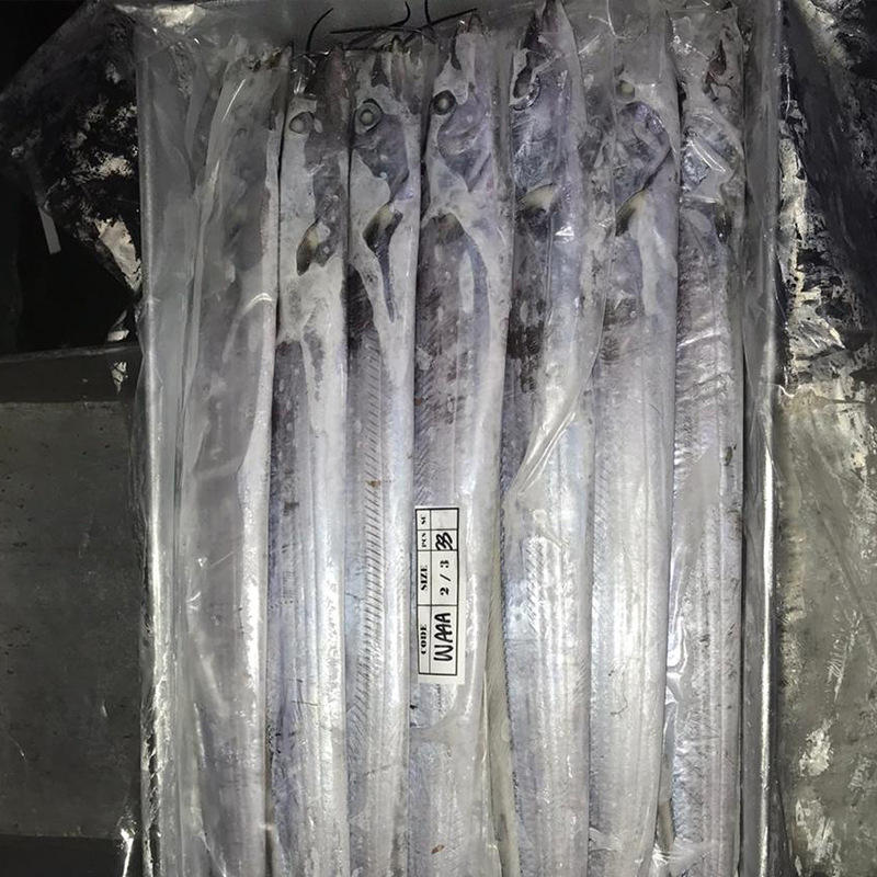 谷茂 印尼新鲜带鱼a钓带10kg装冷冻整条海鲜厂家货源整箱批发