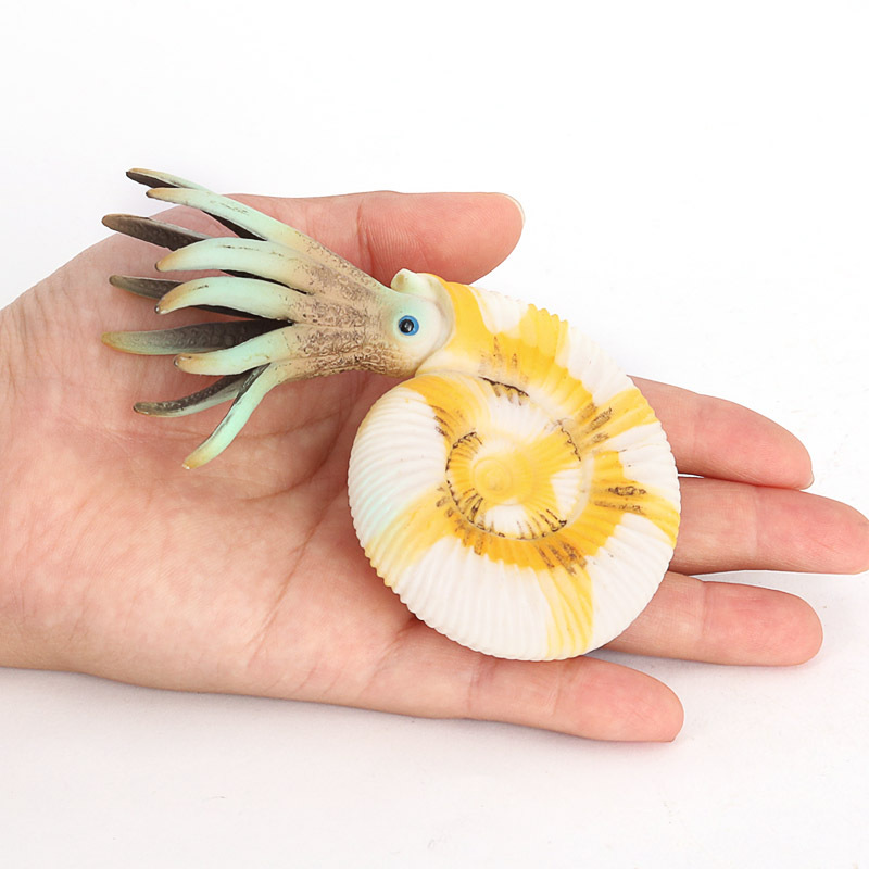 儿童仿真海洋生物模型鹦鹉螺海螺贝壳类儿童玩具早教科教认知玩具