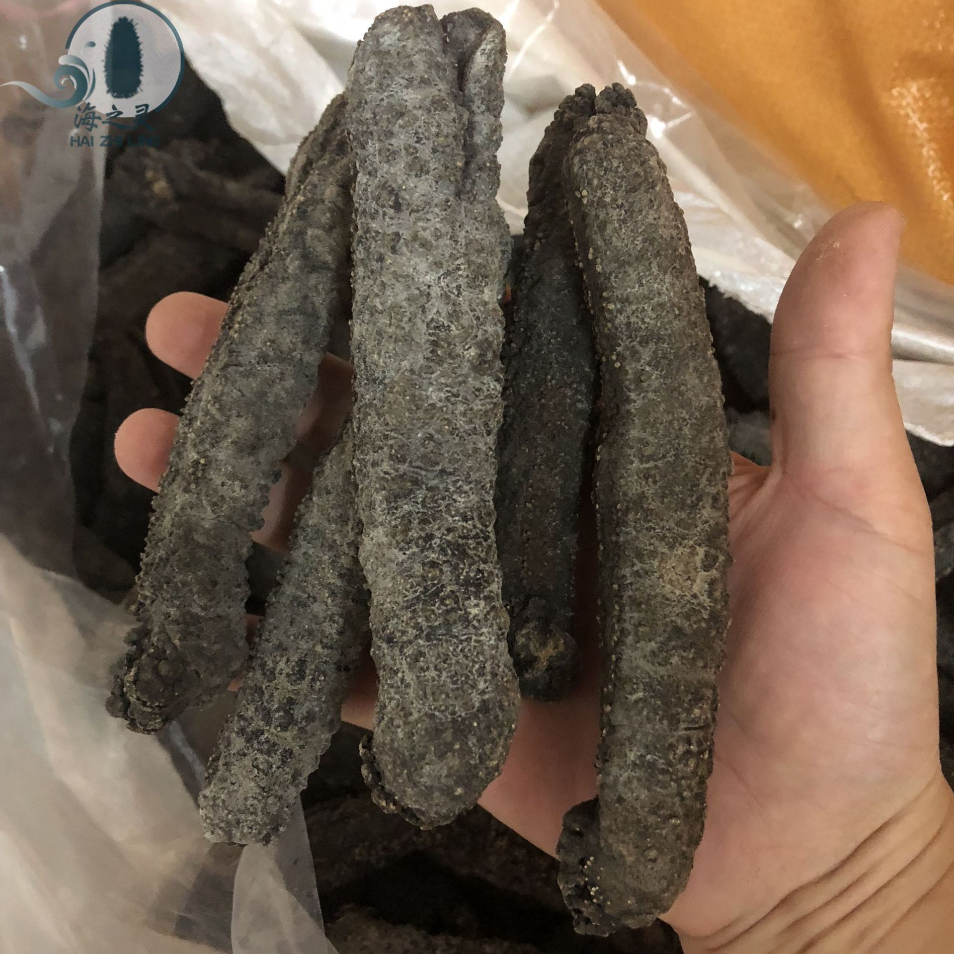 小茄参海茄子参地瓜参批发淡黄皮参70头9.8成干 水发干货海参批发