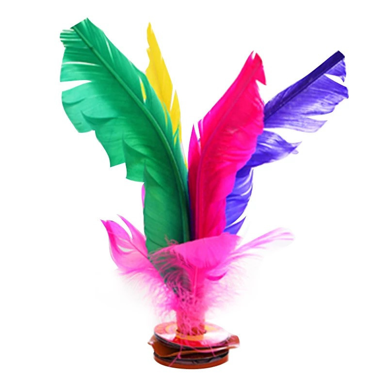 鸡毛毽子大集合成人儿童健身 彩色鹅毛毽球小学生比赛大花毽