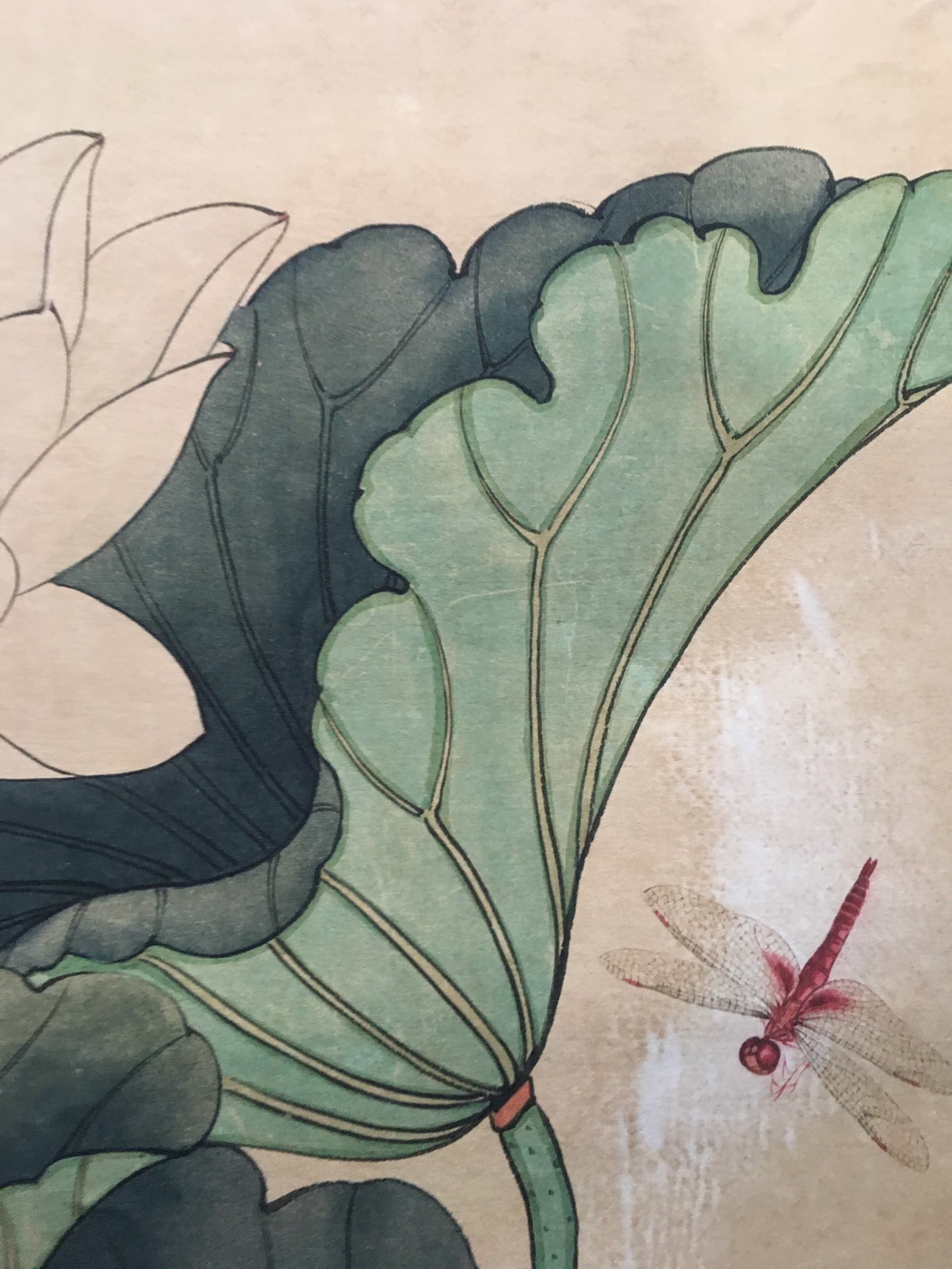 仿古字画中堂画客厅办公挂画宣纸荷花厂家供应片画一件代发