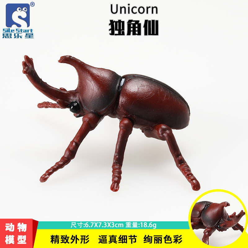 跨境实心独角仙 静态仿真昆虫动物模型玩具 儿童早教认知教学模型