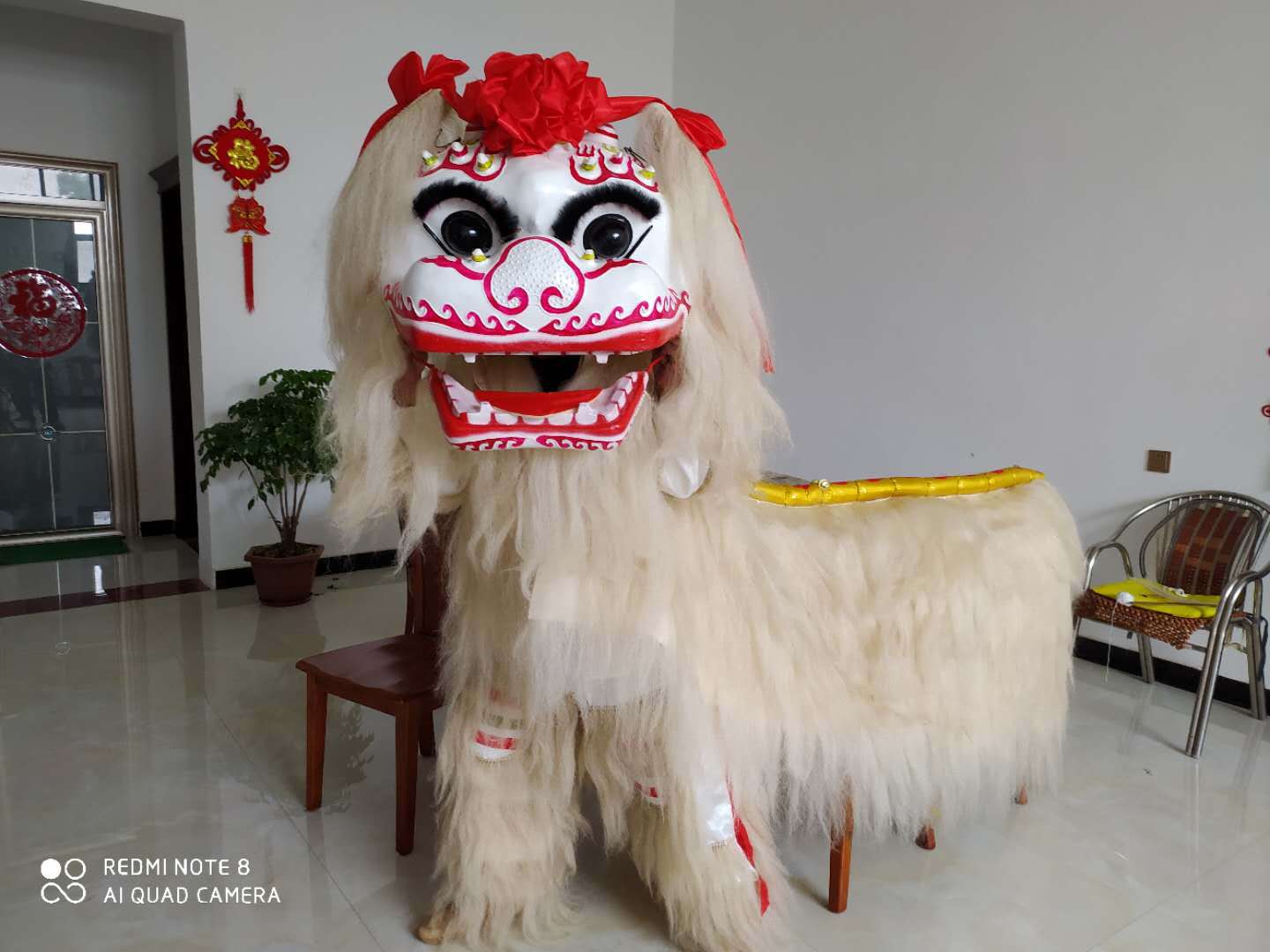 舞龙舞狮 南狮道具 成人全套双人醒狮毛狮狮头狮身 牦牛狮身舞狮