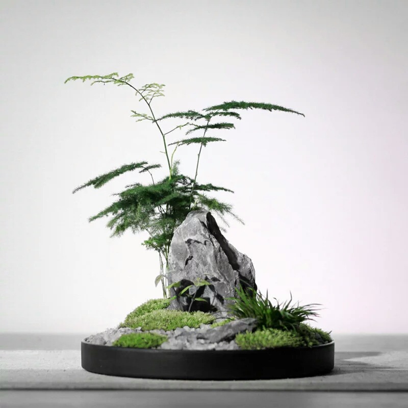 酸洗青龙石小块草鱼缸盆景石头造景石假山小摆件微景观天然原英石