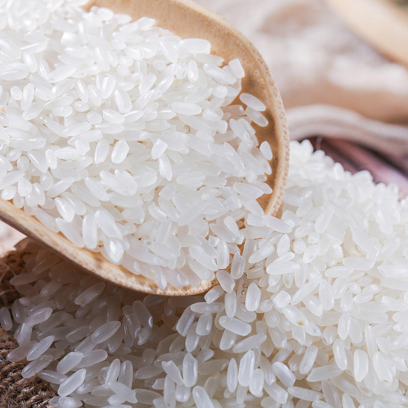 厂家现货直供眉山新米绿颜10kg袋装25kg农家香米当季大米新米粳米