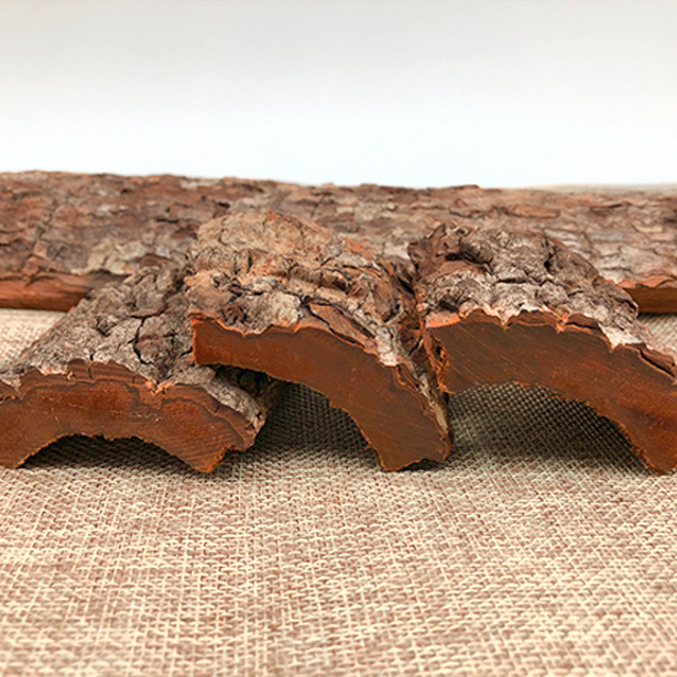 卡宾达树皮非洲安哥拉进口男性树皮卡宾达10克-500克