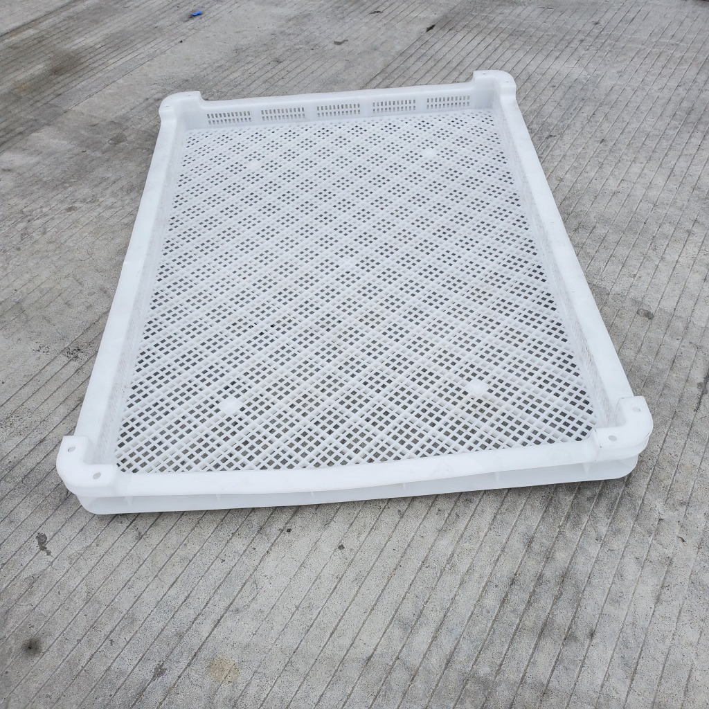 食品厂冷库周转盘810*600*70mm带孔白色晾晒盘 干果晾晒用框子