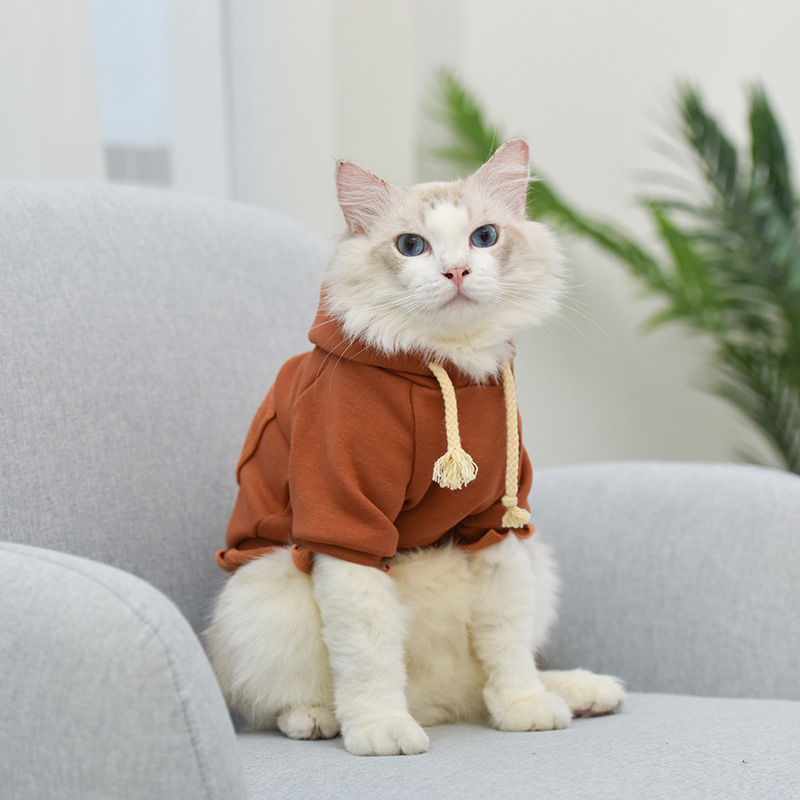 秋冬季新款猫咪衣服跨境两脚薄款卫衣舒适温暖美短英短卫衣猫衣服