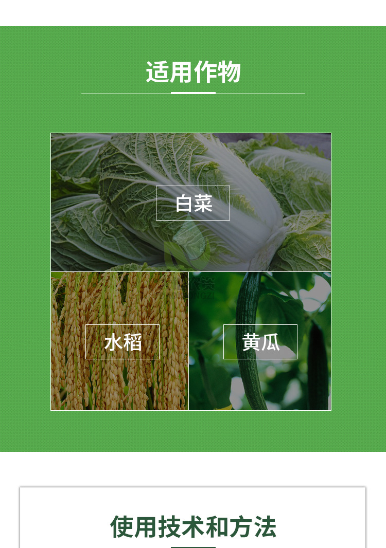 重茬专家抗重茬剂生根壮根疏松土壤免深耕抗盐碱微生物菌剂1000克