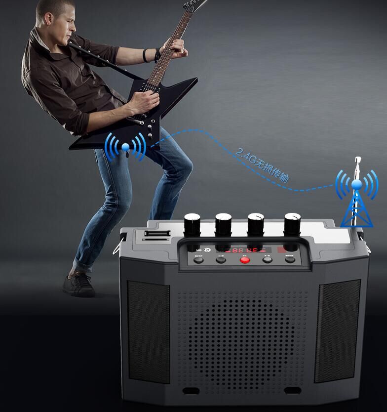 圣韵v309蓝牙二胡神器2.4g无线扩音器乐器专用演出立体声便携式