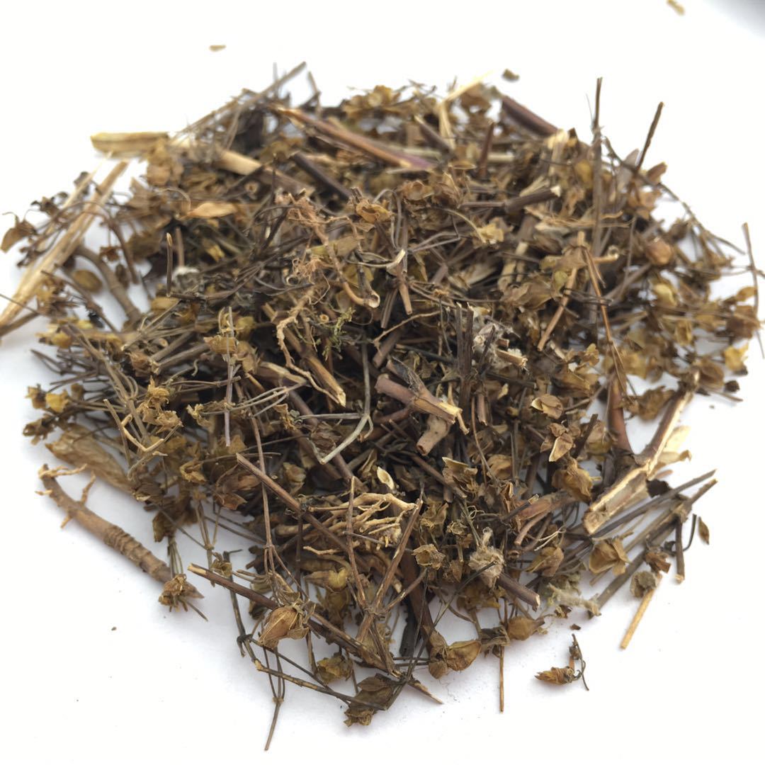 批发供应青叶胆 当药 獐牙菜 白凤菜 七疸药