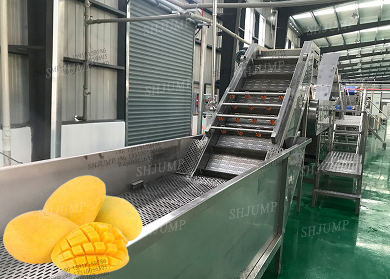 芒果加工 芒果酱加工 芒果汁加工 芒果干加工设备生产线