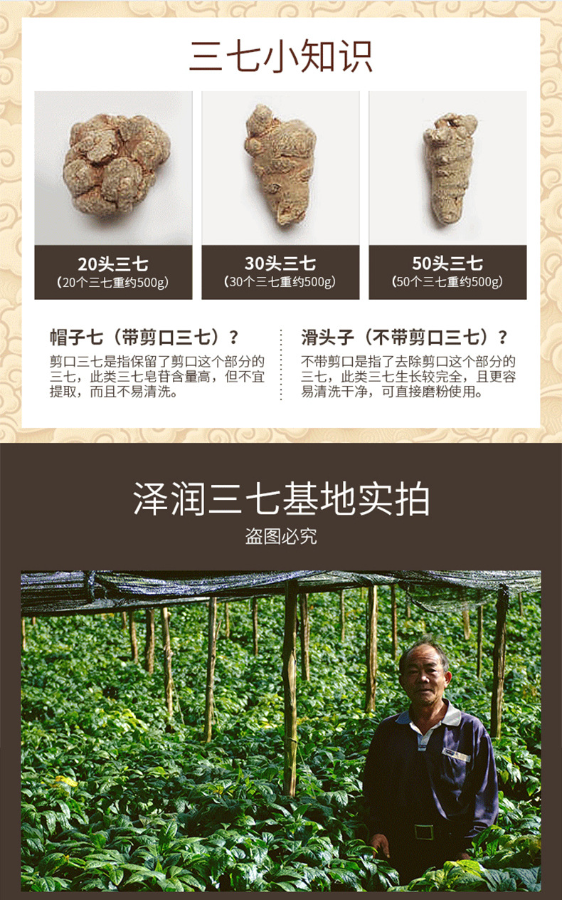 云南文山水洗三七头批发农产品有机三七一件代发20头剪口三七采购