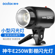 GODOX神牛E250W影室闪光灯摄影棚设备摄影灯光柔光灯照相灯拍照灯