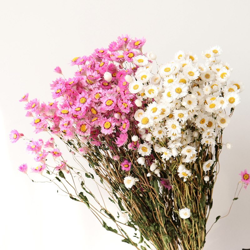 鲁丹鸟干花花束真花家居装饰摆件手工罗丹丝干花插花ins网红款