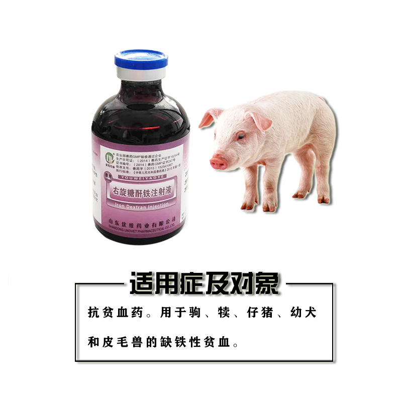 兽药10%右旋糖酐铁注射液仔猪驹犊补血兽用针剂