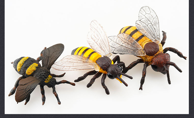 跨境实心瓢虫螳螂蝴蝶蜘蛛蜜蜂草蜢蝉 仿真昆虫模型玩具儿童玩具