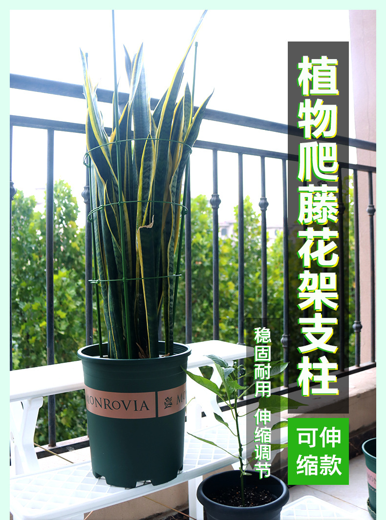 园艺蔷薇月季爬藤架支柱铁线莲牵牛花卉植物花盆固定支架花支架子