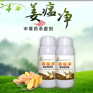 农药杀菌剂农药生姜用药 姜瘟净批发 小黄姜瘟病烂脖子用满90包邮