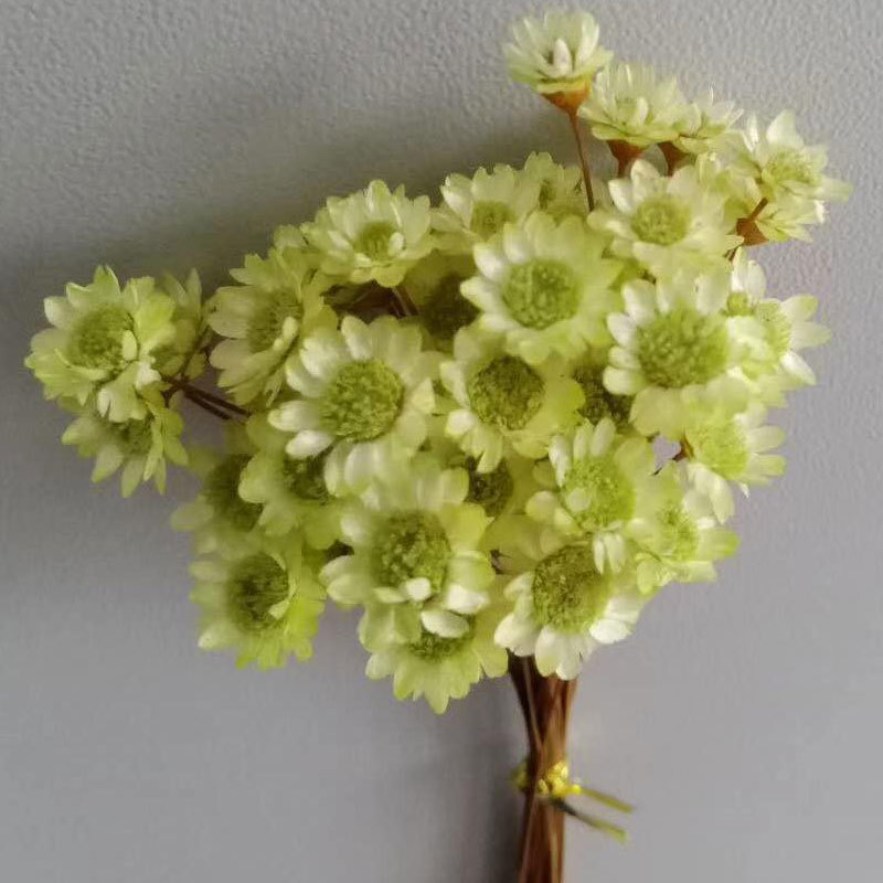 巴西小星花 永生花礼盒配花花材 干花 家居插花 拍照道具