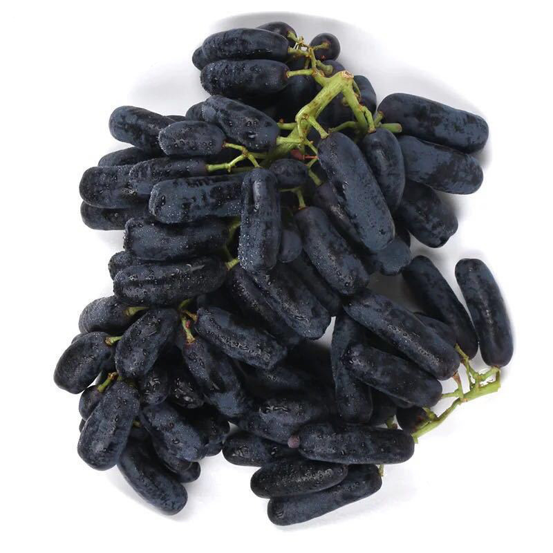 4斤顺丰包邮 金手指黑提美人指黑手指拇指无籽提子基地直发年货