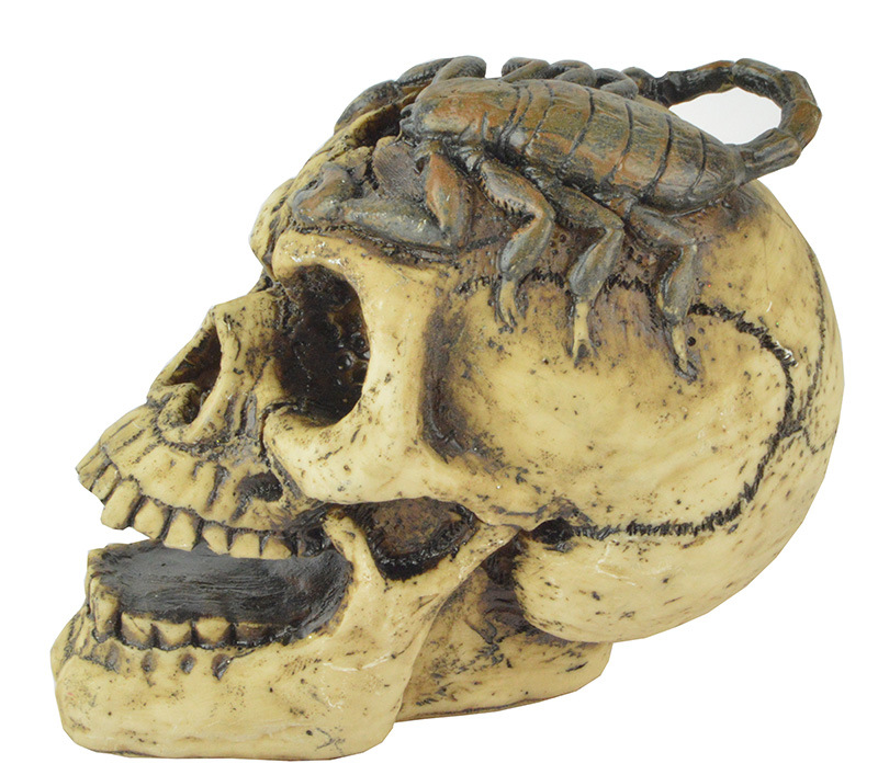 万圣节装饰品酒吧鬼屋密室装扮恐怖道具摆件树脂模型蝎子骷髅头