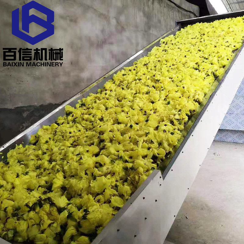 黄蜀葵烘干机 带式中药材干燥机 大型网带黄蜀葵烘干机厂家推荐