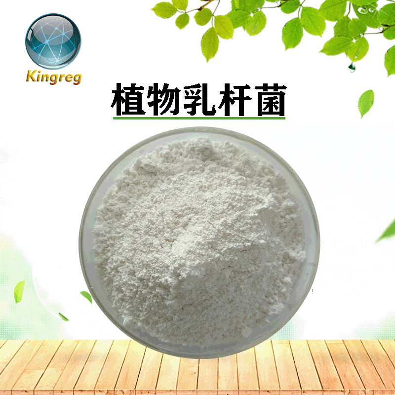 植物乳杆菌100亿/g 冻干型乳酸菌原菌粉 嗜酸乳杆菌 1kg起 包邮