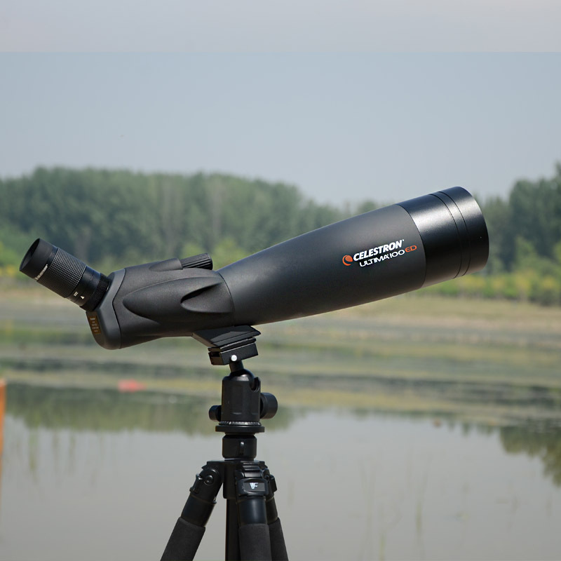 星特朗远方100ed单筒望远镜22-66x100a观鸟镜连续变倍高倍观靶镜