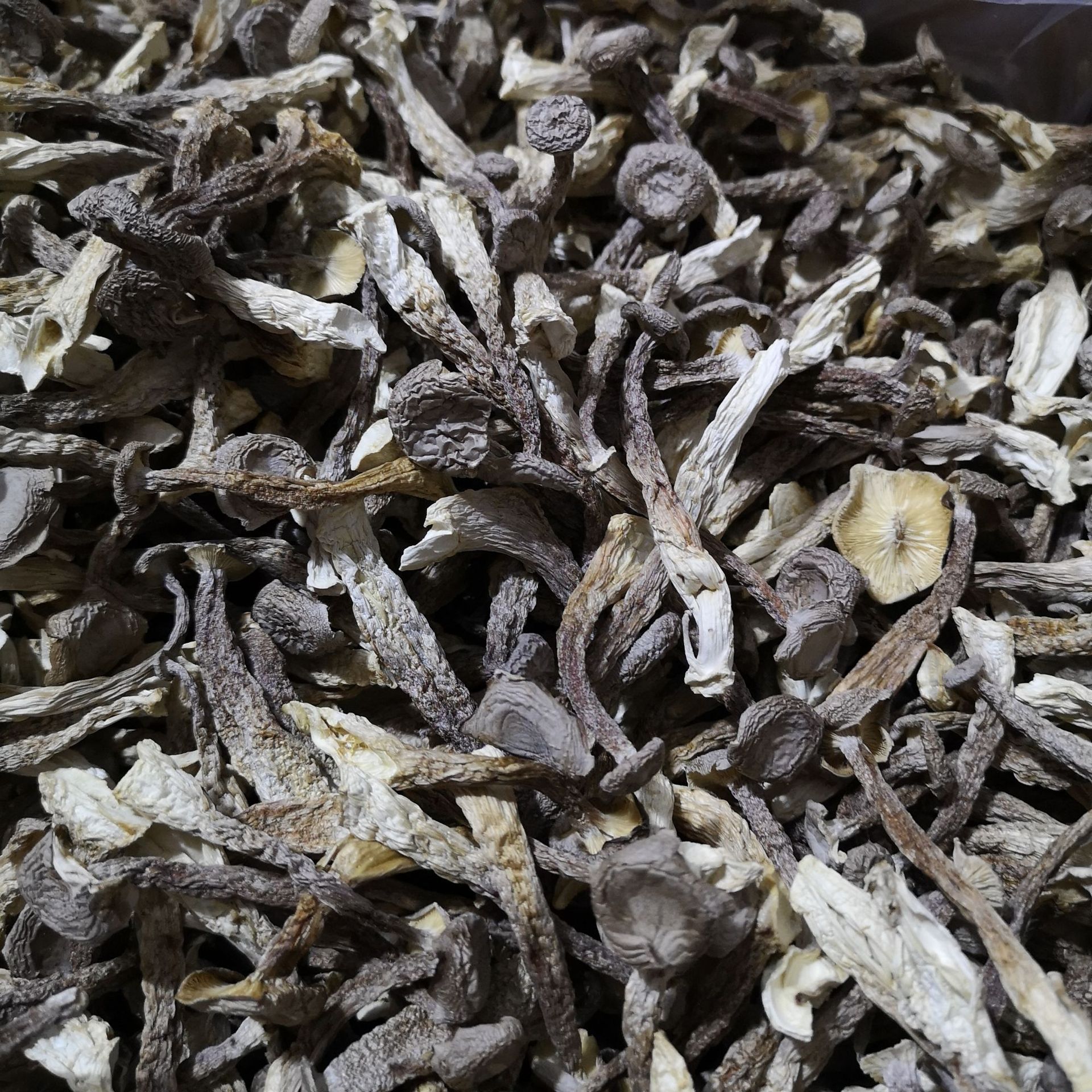 包邮鹿茸菇干货500g无根鹿茸菌菌菇食用菌蘑菇香菇云南特产