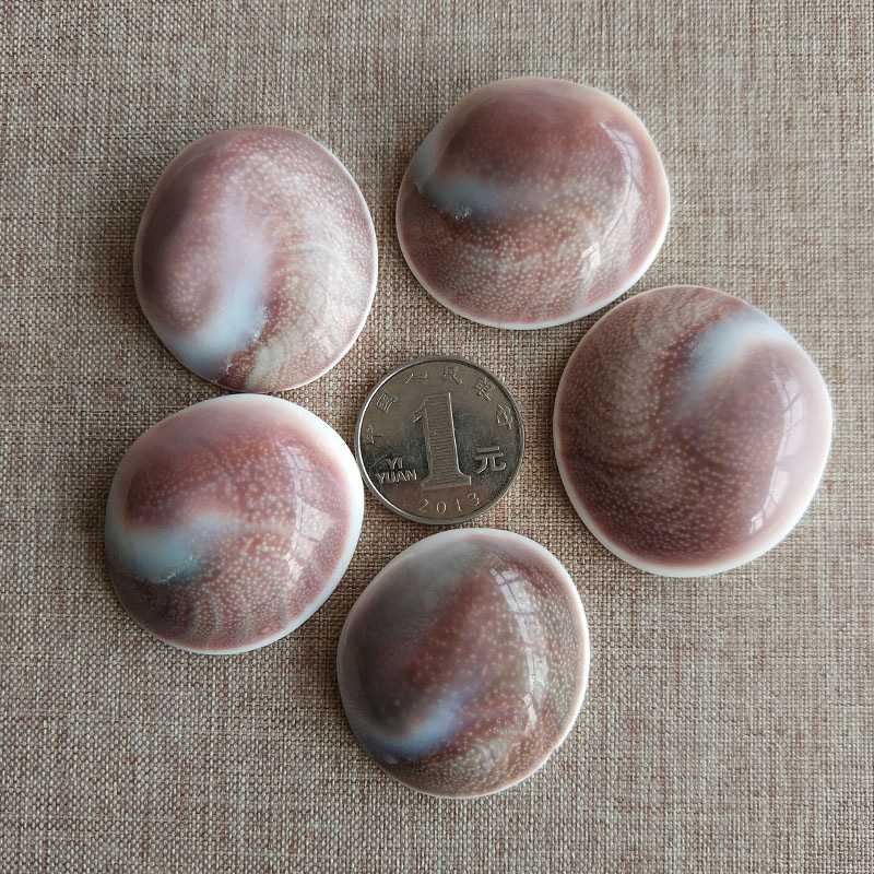 天然太阳贝化石切片海螺贝壳矿物标本 原石摆件 切片海螺贝壳吊坠